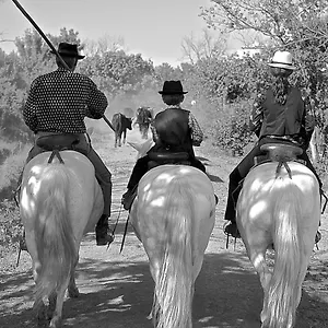 bnb-mas-du-menage-en-camargue-manade-clauzel.fr-provencehotel.com/