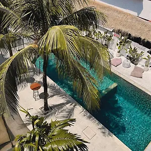 mycapsule-bali.hotelsseminyak.net/